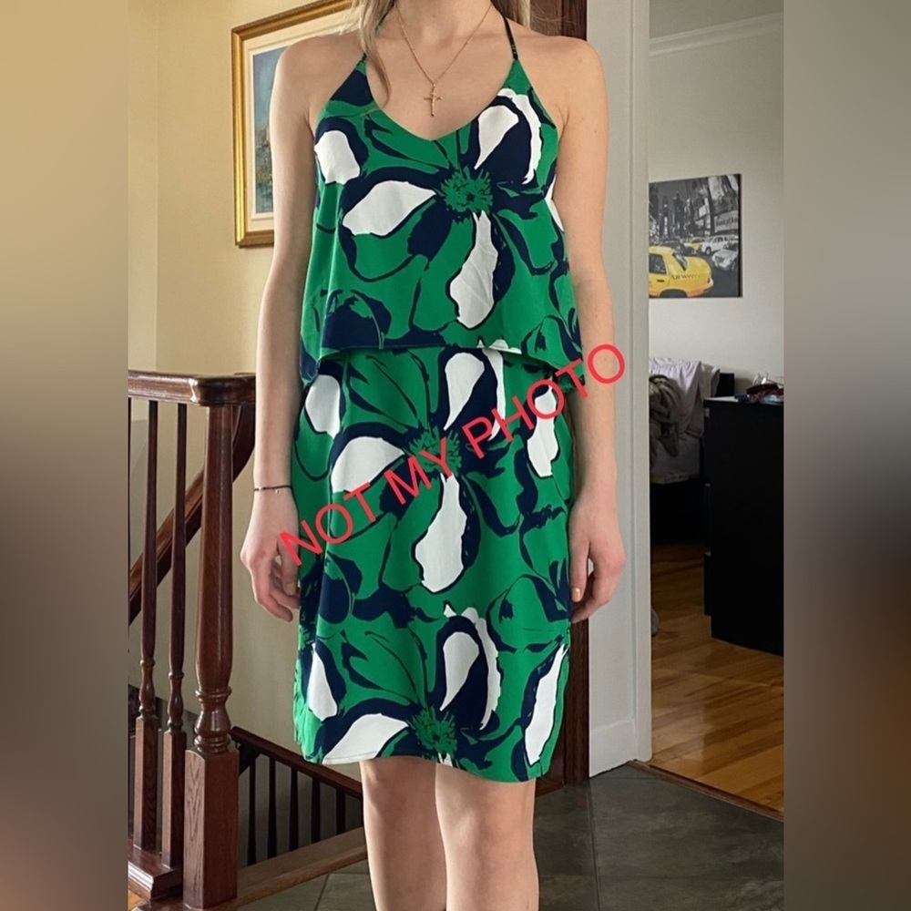 Banana Republic Ruffle Dress